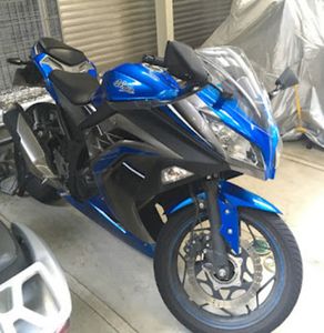 Featured image of post ninja250とお別れ