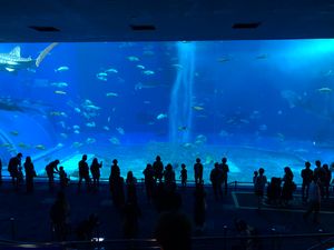 Featured image of post 沖縄ツーリング Day 3