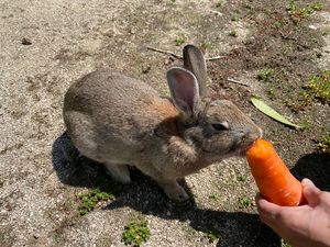 Featured image of post 中国四国ツーリング Day 6