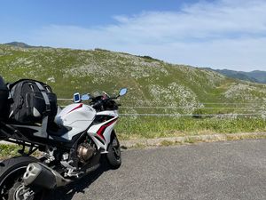 Featured image of post 中国四国ツーリング Day 8