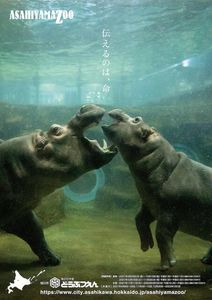 Featured image of post 北海道ツーリング Day 3