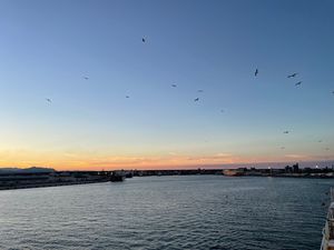 Featured image of post 北海道ツーリング Day 10