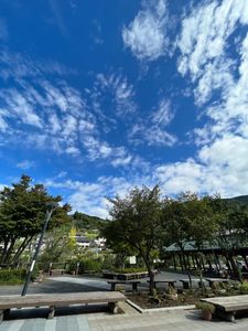 Featured image of post 東京の渋滞