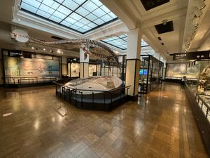 Featured image of post 国立科学博物館