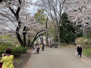 Featured image of post 井の頭公園