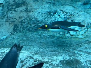 Featured image of post 北海道ツーリング Day 8