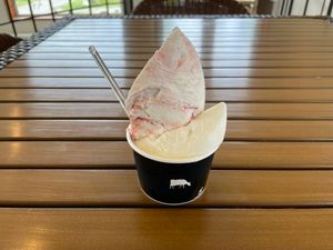 Featured image of post 北海道ツーリング Day 9