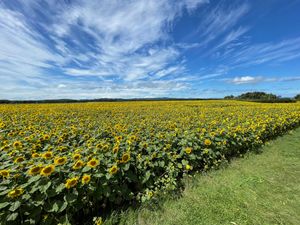 Featured image of post 北海道ツーリング Day 30