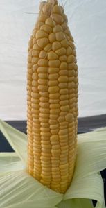 Featured image of post 北海道ツーリング Day 40