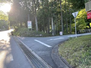 Featured image of post 森林公園