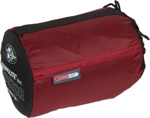 Featured image of post Sea to Summit サーモライト リアクター コンパクトプラス (売却前)