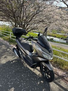 Featured image of post やっぱりPCXを買う