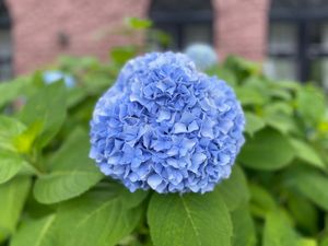 Featured image of post 北海道ツーリング Day 19