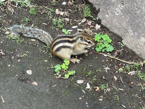 Featured image of post 北海道ツーリング Day 20