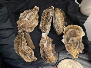 Featured image of post 北海道ツーリング Day 28